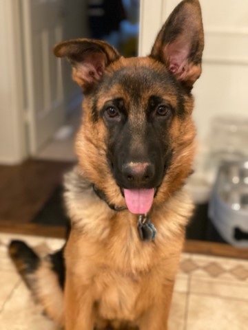 Bruce