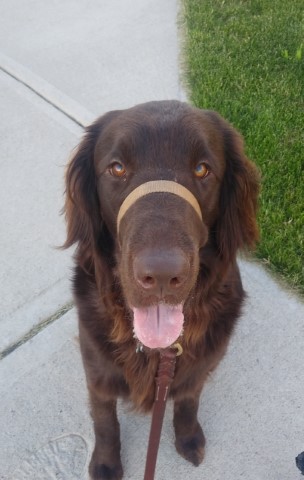 Jax