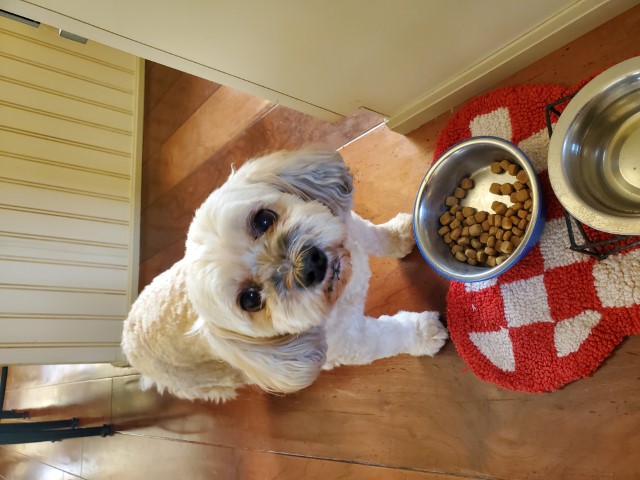 Maddy