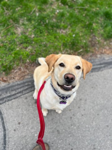 Molly
