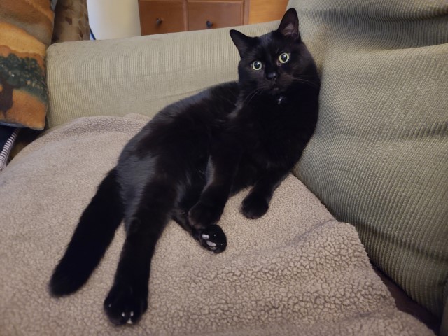 Rori
