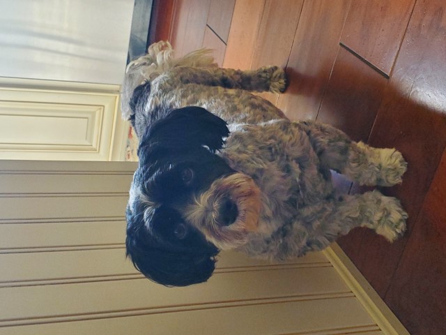 Tucker